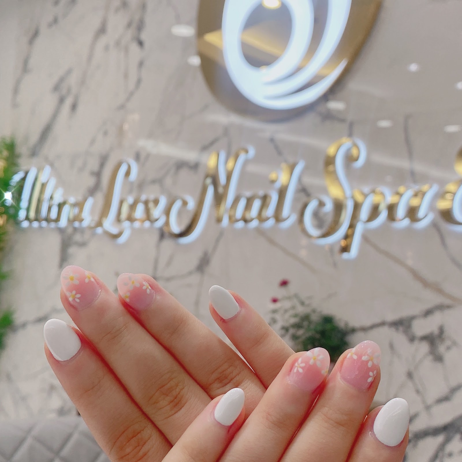 ULTRA LUX NAIL SPA & BEYOND-NON TOXIC SPA logo